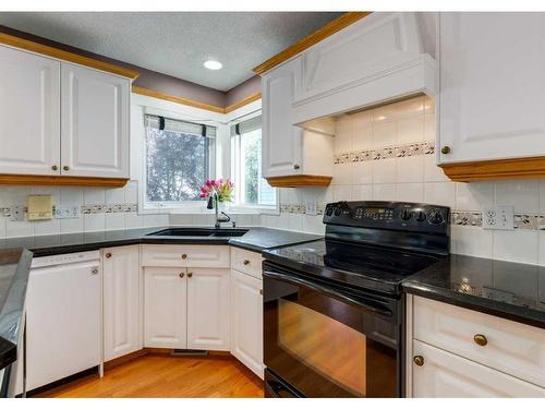 122 Douglasview Rise Se, Calgary, AB - Indoor Photo Showing Kitchen With Double Sink