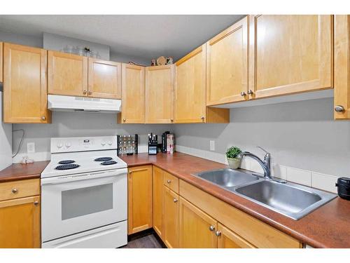 303-1919 17 Avenue Sw, Calgary, AB - Indoor Photo Showing Kitchen With Double Sink