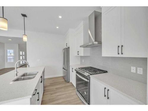 286 Homestead Terrace, Calgary, AB - Indoor Photo Showing Kitchen With Stainless Steel Kitchen With Double Sink With Upgraded Kitchen