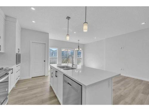 286 Homestead Terrace, Calgary, AB - Indoor Photo Showing Kitchen With Double Sink With Upgraded Kitchen