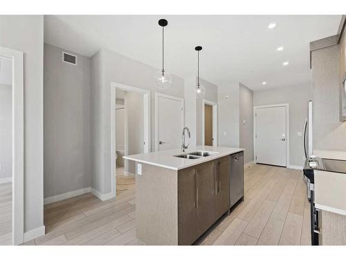 2203-395 Skyview Parkway Ne, Calgary, AB - Indoor Photo Showing Kitchen With Double Sink