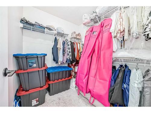 208 Homestead Drive Ne, Calgary, AB - Indoor With Storage