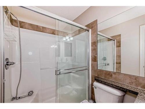 120 Saddlebrook Circle Ne, Calgary, AB - Indoor Photo Showing Bathroom