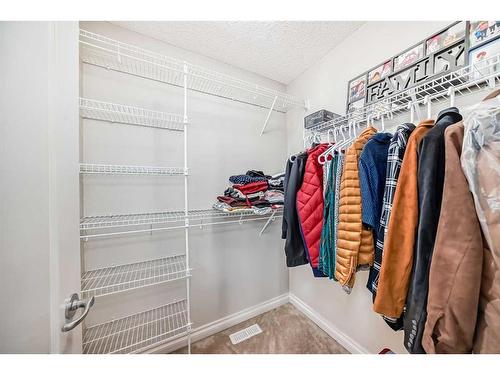 120 Saddlebrook Circle Ne, Calgary, AB - Indoor With Storage