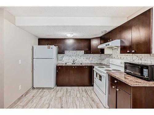 120 Saddlebrook Circle Ne, Calgary, AB - Indoor Photo Showing Kitchen With Double Sink