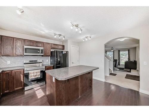 120 Saddlebrook Circle Ne, Calgary, AB - Indoor Photo Showing Kitchen