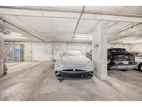 1410-11811 Lake Fraser Drive Se, Calgary, AB - Indoor Photo Showing Garage