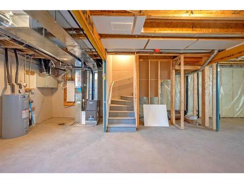 10 Savanna Rise Ne, Calgary, AB - Indoor Photo Showing Basement