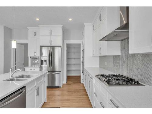 109 Kinniburgh Cove, Chestermere, AB - Indoor Photo Showing Kitchen With Stainless Steel Kitchen With Double Sink With Upgraded Kitchen