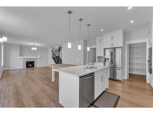 109 Kinniburgh Cove, Chestermere, AB - Indoor Photo Showing Kitchen With Stainless Steel Kitchen With Upgraded Kitchen