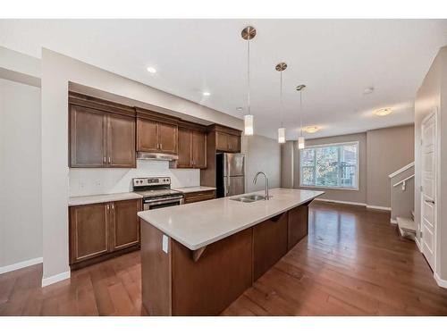 223 Panatella Walk Nw, Calgary, AB - Indoor Photo Showing Kitchen With Double Sink With Upgraded Kitchen