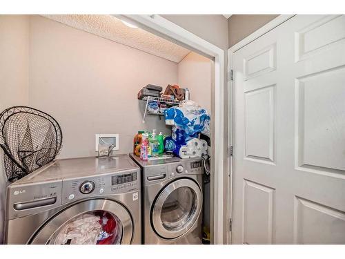 166 Tarawood Lane Ne, Calgary, AB - Indoor Photo Showing Laundry Room