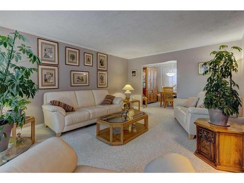 151 Deer Park Place Se, Calgary, AB - Indoor Photo Showing Living Room