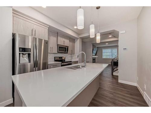 63 Wolf Creek Avenue Se, Calgary, AB - Indoor Photo Showing Kitchen With Double Sink With Upgraded Kitchen