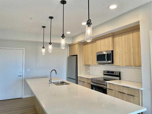 406-40 Carrington Plaza Nw, Calgary, AB - Indoor Photo Showing Kitchen With Double Sink With Upgraded Kitchen