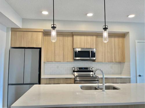 406-40 Carrington Plaza Nw, Calgary, AB - Indoor Photo Showing Kitchen With Double Sink With Upgraded Kitchen