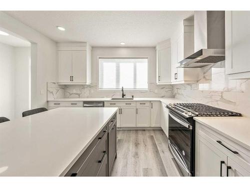 93 Setonstone Green Se, Calgary, AB - Indoor Photo Showing Kitchen With Upgraded Kitchen