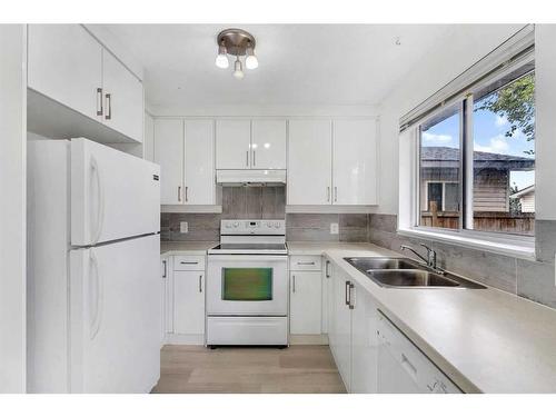 13 Martindale Court Ne, Calgary, AB - Indoor Photo Showing Kitchen With Double Sink