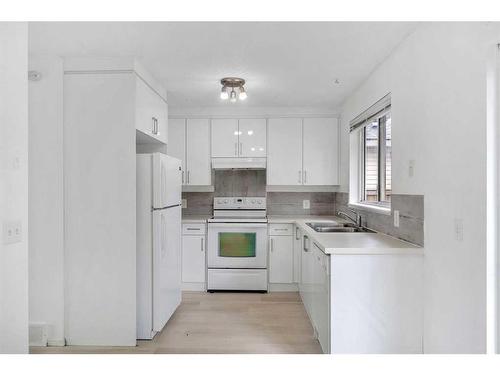 13 Martindale Court Ne, Calgary, AB - Indoor Photo Showing Kitchen With Double Sink