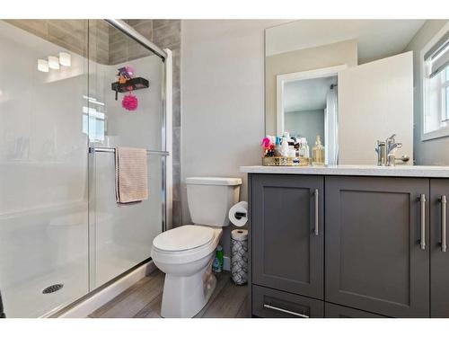 71 Wolf Creek Avenue Se, Calgary, AB - Indoor Photo Showing Bathroom