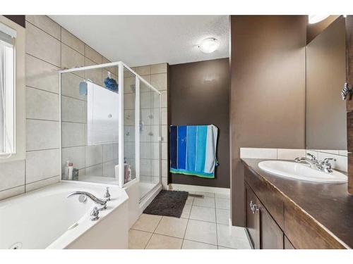 867 Auburn Bay Boulevard Se, Calgary, AB - Indoor Photo Showing Bathroom