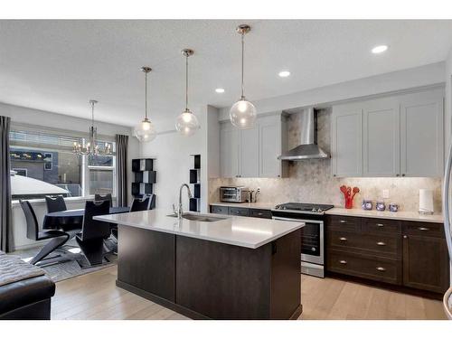 255 Savanna Lane Ne, Calgary, AB - Indoor Photo Showing Kitchen With Upgraded Kitchen