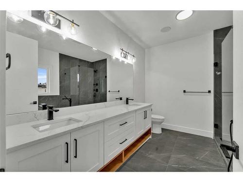 123 Saddlepeace Manor Ne, Calgary, AB - Indoor Photo Showing Bathroom