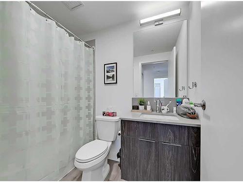 215-123 4 Street Ne, Calgary, AB - Indoor Photo Showing Bathroom