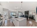 572 Chinook Gate Square Sw, Airdrie, AB  - Indoor Photo Showing Kitchen With Double Sink With Upgraded Kitchen 