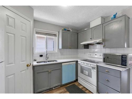 163 Taravista Drive Ne, Calgary, AB - Indoor Photo Showing Kitchen With Double Sink