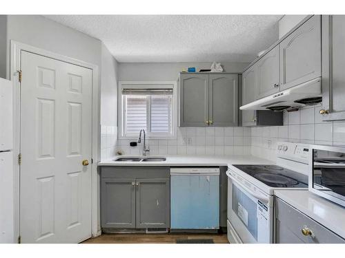 163 Taravista Drive Ne, Calgary, AB - Indoor Photo Showing Kitchen With Double Sink