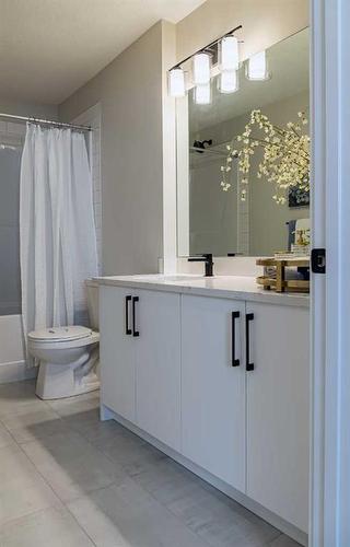 95 Homestead Park Ne, Calgary, AB - Indoor Photo Showing Bathroom