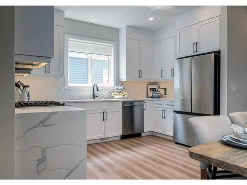 95 Homestead Park Ne, Calgary, AB - Indoor Photo Showing Kitchen With Stainless Steel Kitchen With Upgraded Kitchen