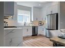 95 Homestead Park Ne, Calgary, AB  - Indoor Photo Showing Kitchen With Stainless Steel Kitchen With Upgraded Kitchen 