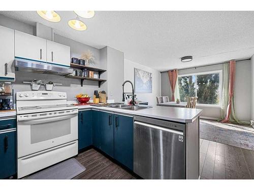 92 Martin Crossing Court Ne, Calgary, AB - Indoor Photo Showing Kitchen With Double Sink