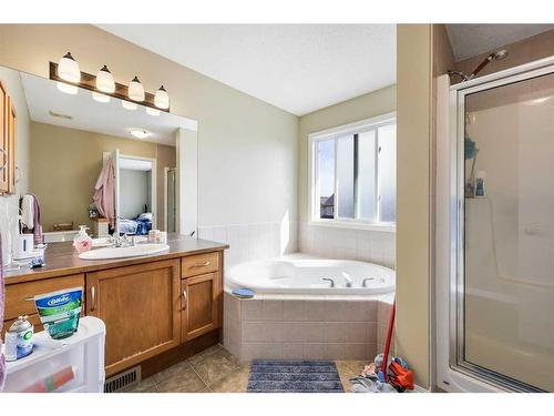 24 Copperstone Place Se, Calgary, AB - Indoor Photo Showing Bathroom