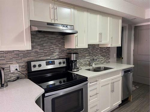 102-1820 9 Street Sw, Calgary, AB - Indoor Photo Showing Kitchen With Stainless Steel Kitchen With Double Sink With Upgraded Kitchen