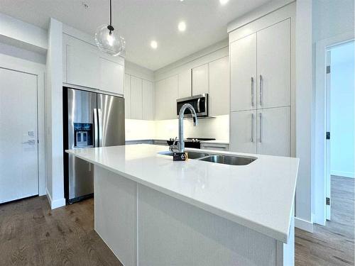 2220-395 Skyview Parkway Ne, Calgary, AB - Indoor Photo Showing Kitchen With Double Sink With Upgraded Kitchen