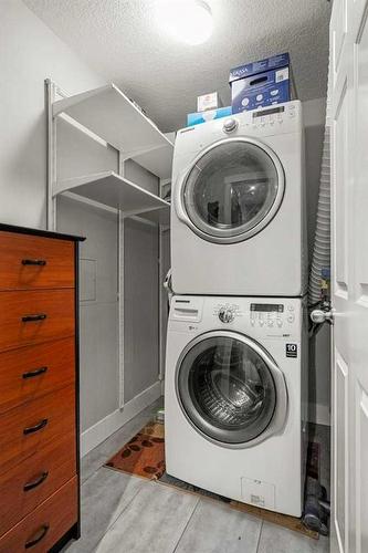 209-201 20 Avenue Ne, Calgary, AB - Indoor Photo Showing Laundry Room