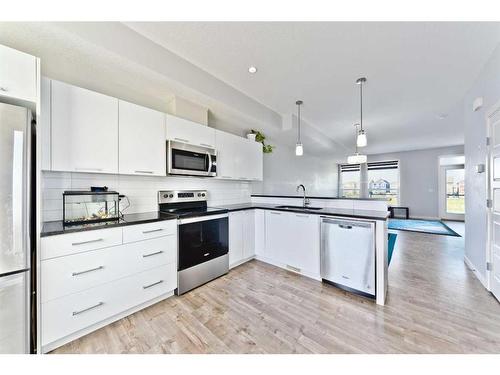 404-70 Saddlestone Drive Ne, Calgary, AB - Indoor Photo Showing Kitchen With Stainless Steel Kitchen With Upgraded Kitchen