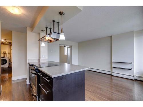 302-505 19 Avenue Sw, Calgary, AB - Indoor Photo Showing Kitchen