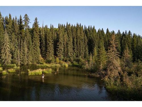 Limpkin Flats Twp Rd 355, Rural Clearwater County, AB 