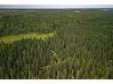 Limpkin Flats Twp Rd 355, Rural Clearwater County, AB 