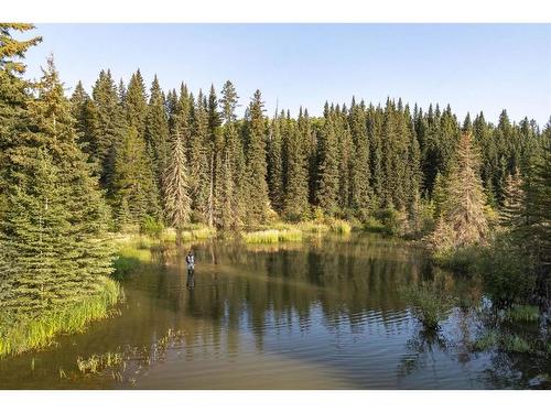 Limpkin Flats Twp Rd 355, Rural Clearwater County, AB 