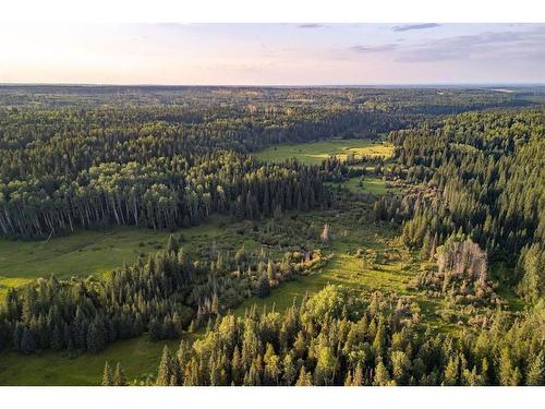 Limpkin Flats Twp Rd 355, Rural Clearwater County, AB 