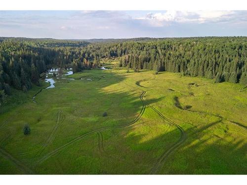 Limpkin Flats Twp Rd 355, Rural Clearwater County, AB 