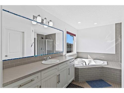 123 Walden Heights Se, Calgary, AB - Indoor Photo Showing Bathroom