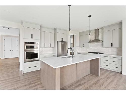 176 Sandpiper Landing, Chestermere, AB - Indoor Photo Showing Kitchen With Stainless Steel Kitchen With Upgraded Kitchen