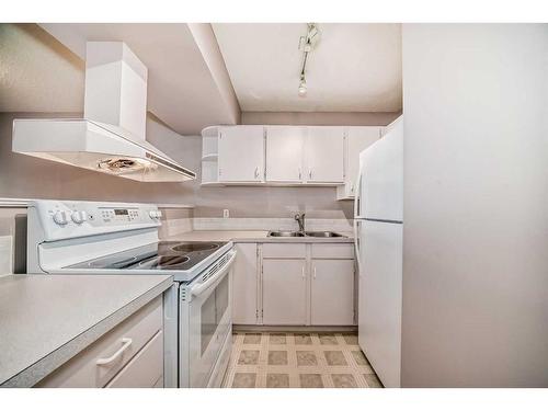 210-2204 1 Street Sw, Calgary, AB - Indoor Photo Showing Kitchen With Double Sink