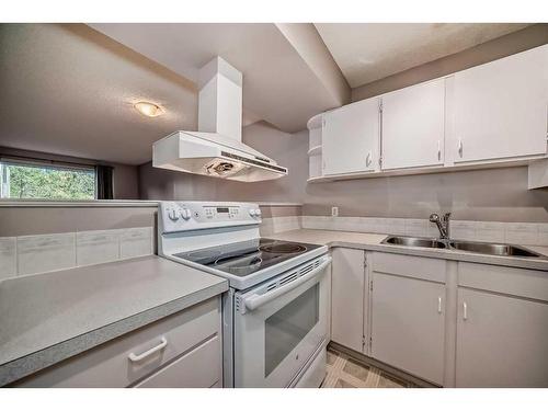 210-2204 1 Street Sw, Calgary, AB - Indoor Photo Showing Kitchen With Double Sink